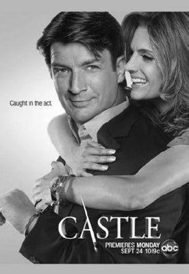 Castle poster tin Metal Print Wall Art