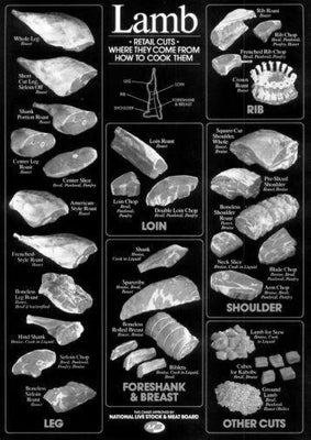 Lamb Cuts Poster Culinary Poster Black and White Poster On Sale United States