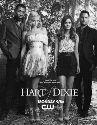 Hart Of Dixie Black and White Metal Poster Choose Style The Poster Depot