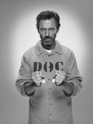 House Poster Black and White Mini Poster 11"x17"