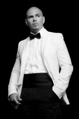 Pitbull black and white poster
