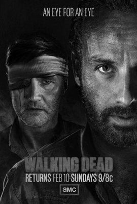 Walking Dead Metal Poster Print 8in x 12in 12"x16" Black and White The Poster Depot