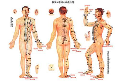 acupuncture Metal Poster Print 8in x 12in 12"x16" The Poster Depot