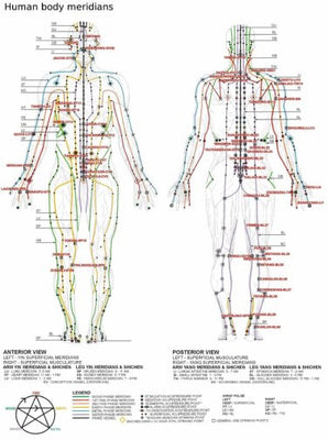 acupuncture human body meridians Mini Poster 11inx17in poster