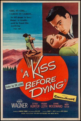 A Kiss Before Dying Metal Print 8in x 12in