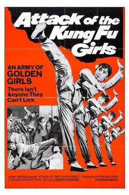 Attack Of The Kung Fu Girls Metal Print 8in x 12in The Poster Depot