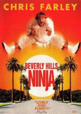 Beverly Hills Ninja Metal Print 8in x 12in