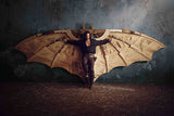 Davincis Demons poster 11x17 Poster The Poster Depot