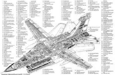 Ef 111 Raven Cutaway Poster Warbird Airplane 11x17 Mini Poster