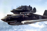 Flying Tigers 1942 Aircraft Poster 11x17 The Poster Depot