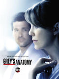 Greys Anatomy Metal Poster Wall Art 8in x 12in 12"x16" The Poster Depot
