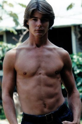 Jan Michael Vincent Poster 11x17 The Poster Depot