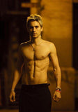 jared leto Metal Poster Wall Art 8in x 12in 12"x16" The Poster Depot