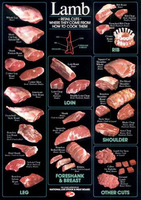 Lamb Cuts Cuts Of Meat Chart 11inx17in poster The Poster Depot