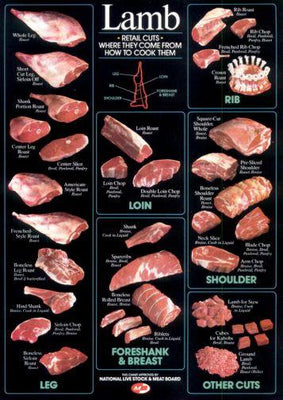 Lamb Cuts Cuts Of Meat Chart poster 27inx40in The Poster Depot