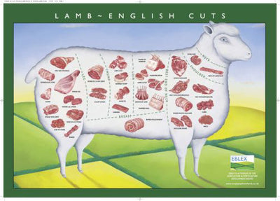Lamb Cuts Illustration Chart 11inx17in poster The Poster Depot