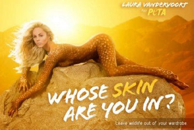 Laura Vandervoort Metal Print 8in x 12in The Poster Depot