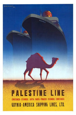 Steamship Advertising poster 11inx17in The Poster Depot