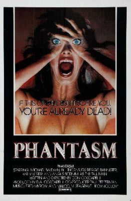 Phantasm Metal Print 8in x 12in