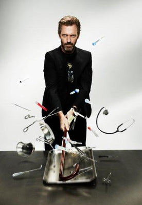 House Metal Poster Print 8in x 12in 12"x16" The Poster Depot
