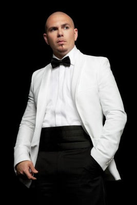 Music Pitbull Poster 16"x24" On Sale The Poster Depot