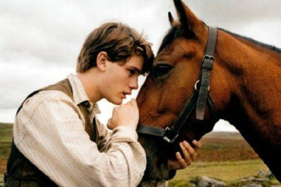 War Horse movie poster Metal Print 8in x 12in