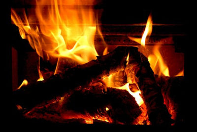 yule log christmas holiday poster 11inx17in poster The Poster Depot