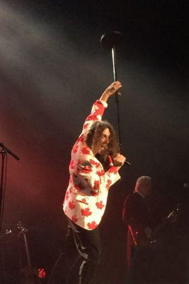 Weird Al Yankovic Metal Poster Choose Style The Poster Depot