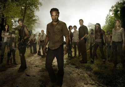 walking dead Metal Poster Choose Style The Poster Depot