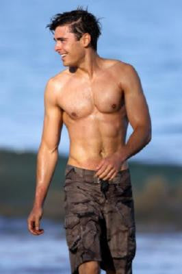 Zac Efron Poster 11x17 poster The Poster Depot