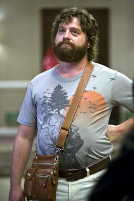 Zack Galifianakis Poster #01 11x17 poster The Poster Depot